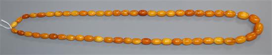 A single strand graduated amber bead necklace, gross weight 61 grams, 86cm.